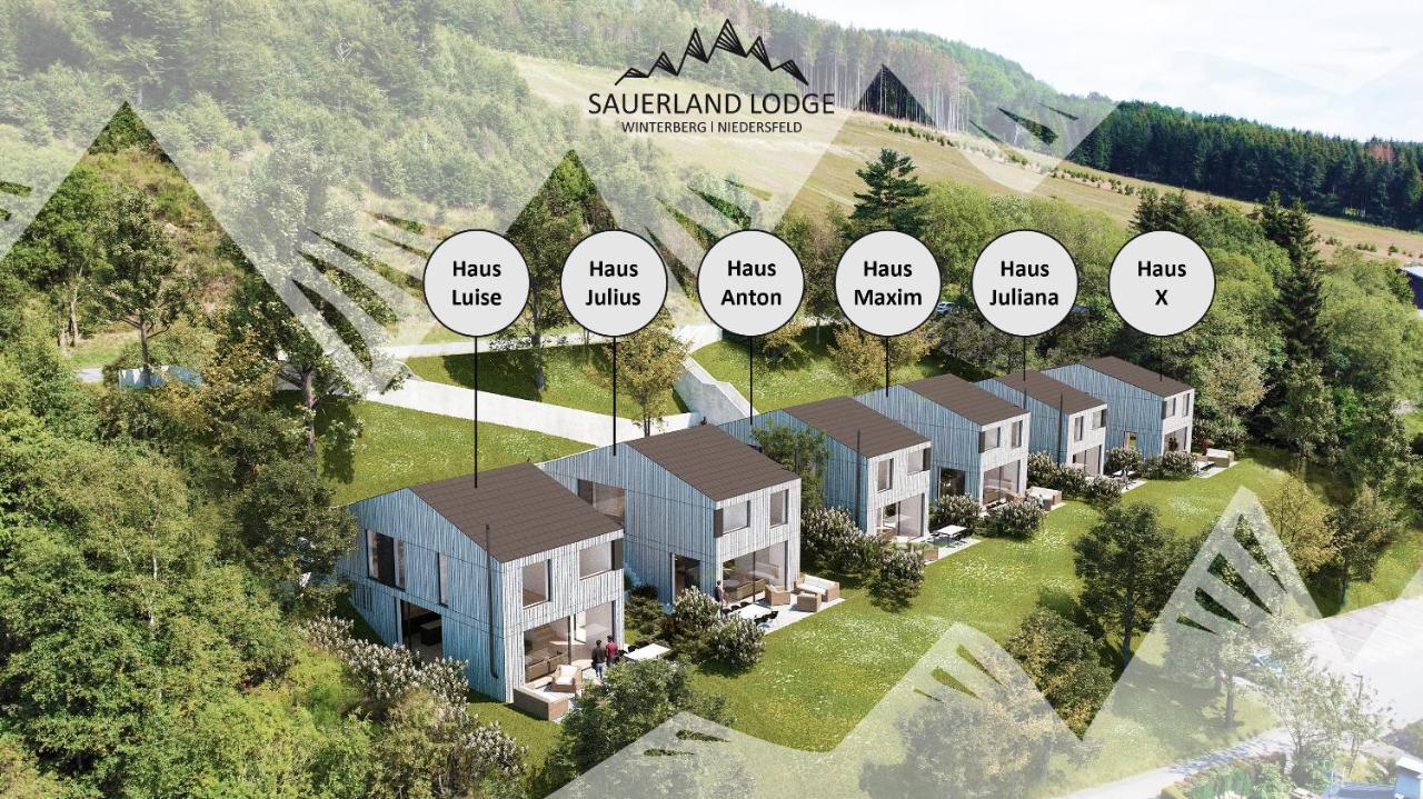 Sauerland Lodge - Haus Julius 温特贝格 外观 照片