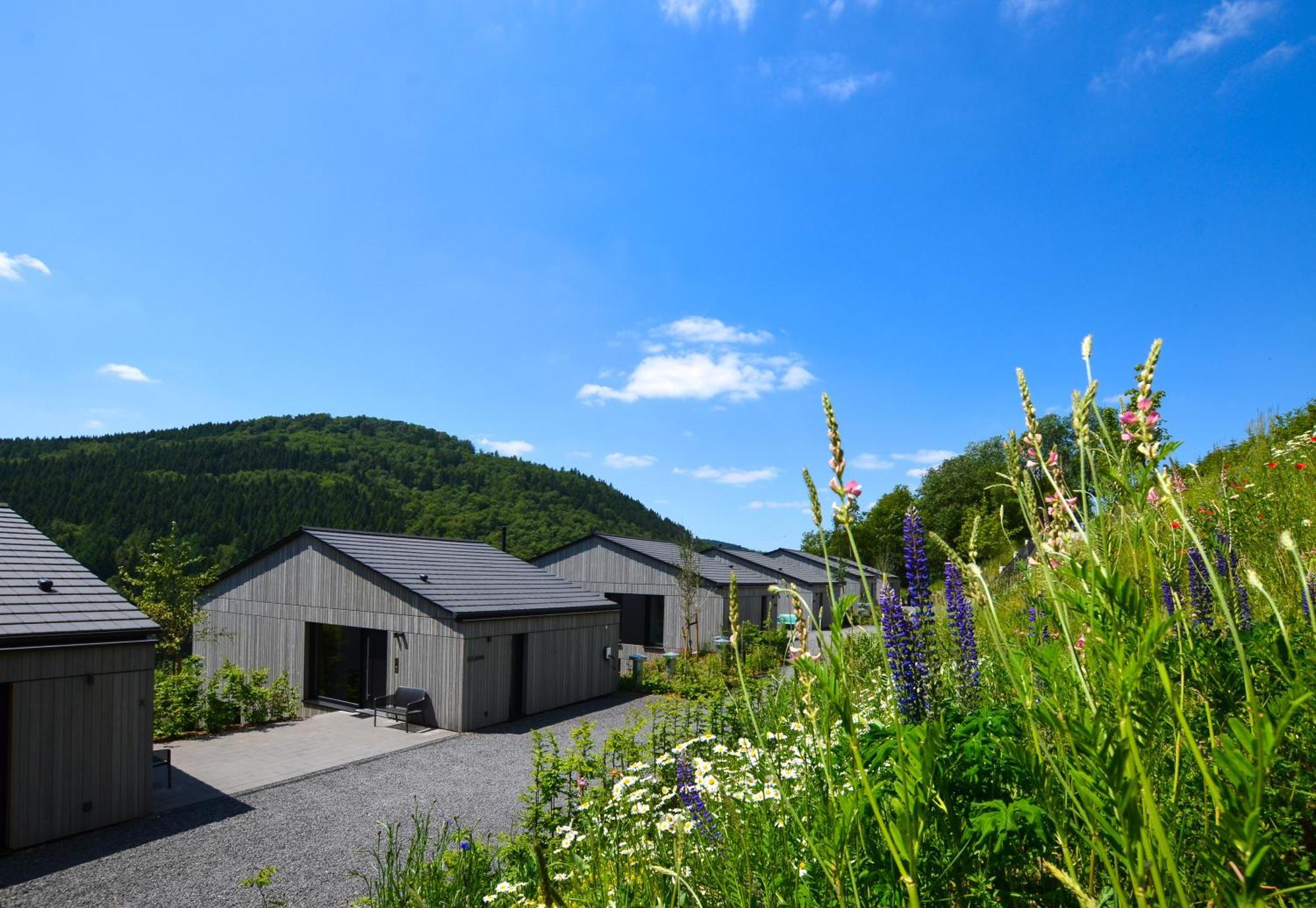 Sauerland Lodge - Haus Julius 温特贝格 外观 照片