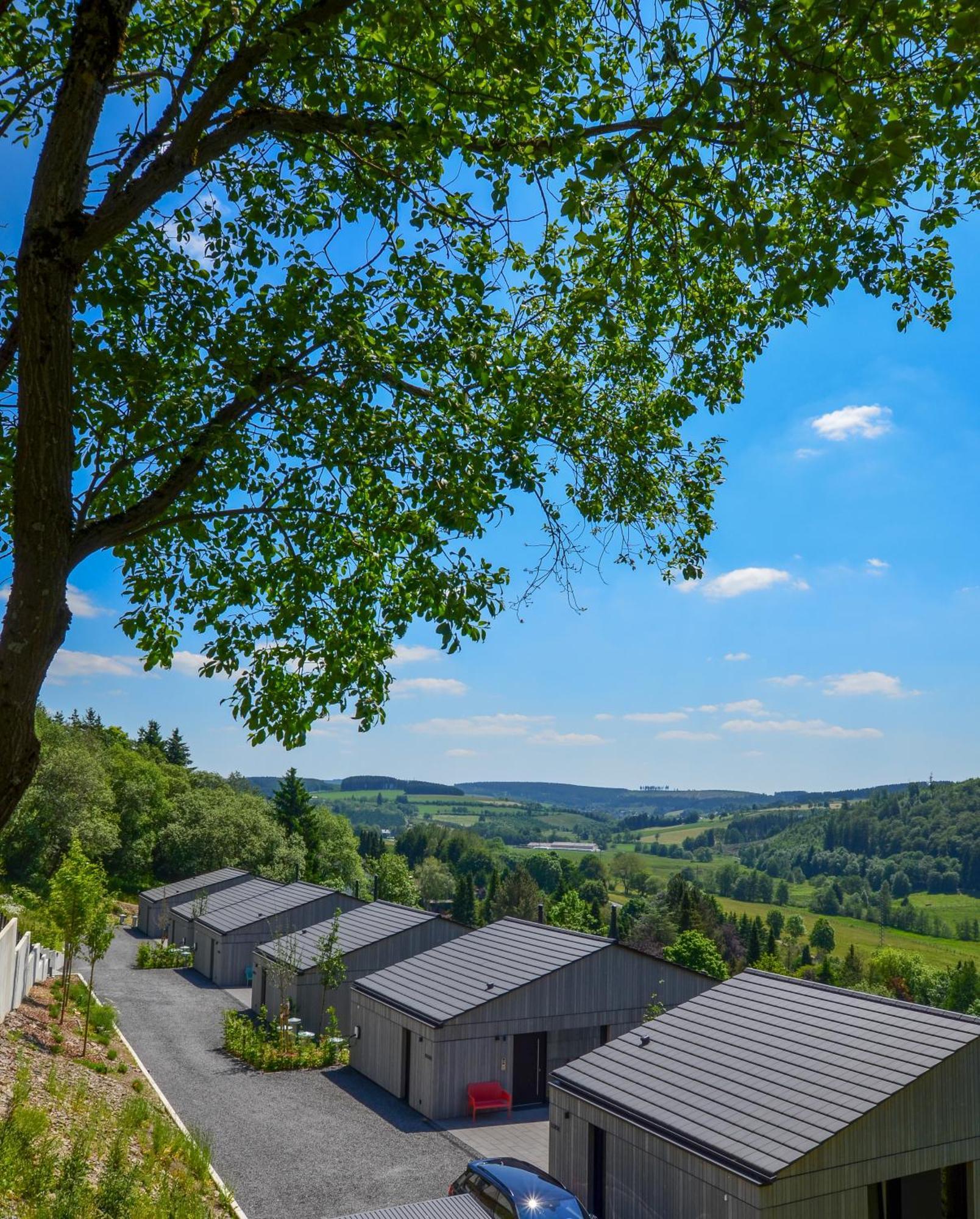 Sauerland Lodge - Haus Julius 温特贝格 外观 照片